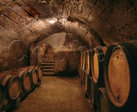 Barrel cellar of Thierry Allemand Cornas Ardche   France   Cornas