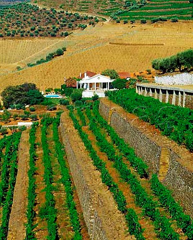 Taylors Quinta de Vargellas  with a   newlyreplanted section of vineyard behind the house    high in the Douro valley east of Pinho Portugal   Port