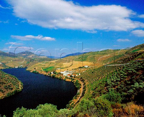 Taylors Quinta de Vargellas high in the Douro   valley east of Pinho Portugal   Port