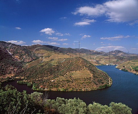 Cockburns Quinta dos Canais high in the Douro Valley east of Pinho Portugal  Port