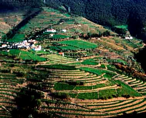 View over the Rio Torto valley to the village   of Sarzedinho near Pinho Portugal   Douro  Port