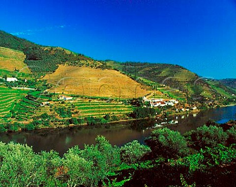 Quinta de la Rosa viewed from across the   Douro River Pinho Portugal  Douro  Port