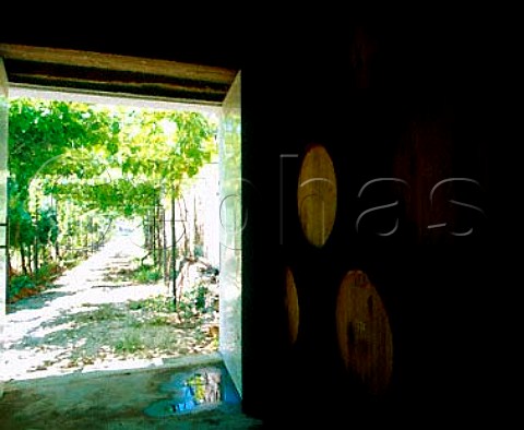 Barrels of table wine ageing at Quinta Lamelas part   of Quinta de la Rosa   Pinhao Portugal   Douro