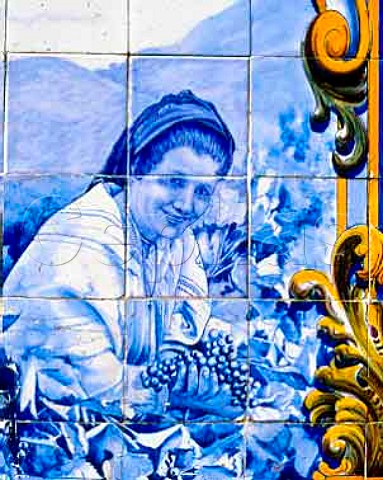 Traditional azulejos tiles depicting vineyard scenes   on the railway station at Pinho in the Douro Valley   Portugal  Port