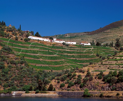 Quinta do Crasto above its Santa Teresa vineyard and the Douro River west of Pinho Portugal   Douro  Port
