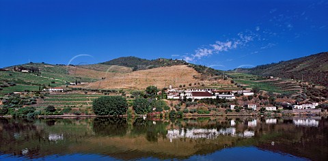 Quinta de la Rosa and its terraced vineyards above the Douro River near Pinho Portugal Douro  Port
