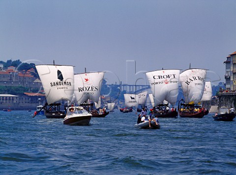 The Barcos Rabelos race held annually  St Johns Day  June 24 on the River Douro   at Porto Portugal