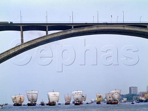 The Barcos Rabelos race held annually on StJohns Day June 24 on the River Douro Porto Portugal