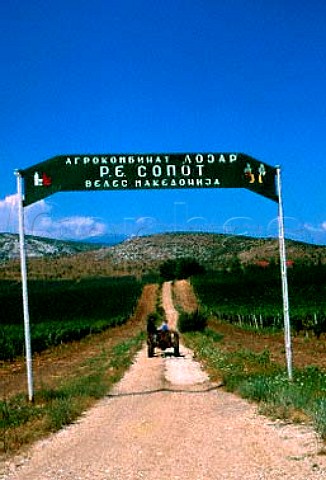 Entrance to the Lozar Winery  Veles Republic of Macedonia