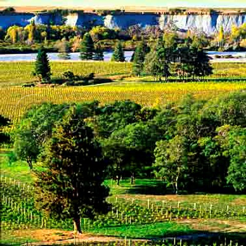 Medway River Vineyard of The Crossings in the Awatere Valley Marlborough New Zealand