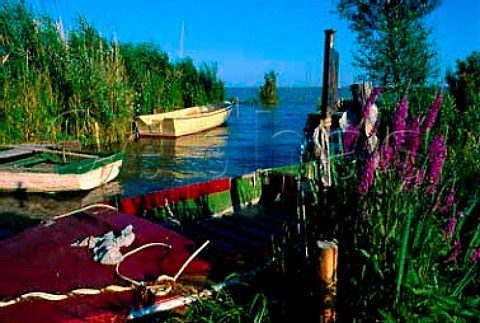 Boats moored on the shore of   Lake Balaton Szigliget Hungary