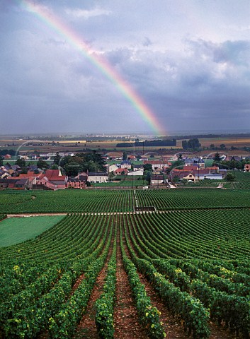 Harvesttime rainbow over VosneRomane viewed from above La Tche vineyard Cte dOr France  Cte de Nuits Grand Cru
