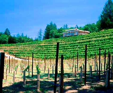 Diamond Creek Vineyards and winery Calistoga   Napa Co California   Napa Valley