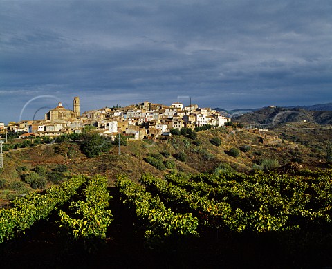 Village of Gratallops viewed over vineyard of Alvaro Palacios His Clos lErmita vineyard lies on the far side of the hill top right of picture on which stands the hermitage after which it is named  Catalonia Spain  Priorato