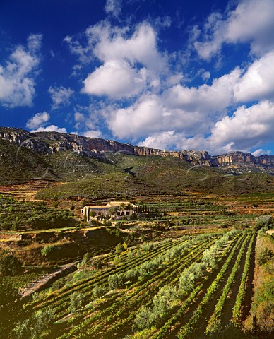 Masia Duch and its vineyards below the Sierra de Montsant Scala Dei Catalonia Spain  Priorato