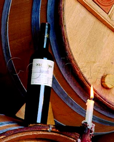 Bottle of Dol de lObac in the cellars of   Costers del Siurana Gratallops Catalonia Spain    Priorato