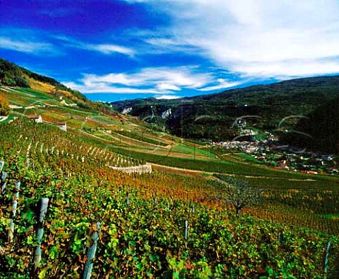 Vineyards above Cerdon Ain France  Bugey