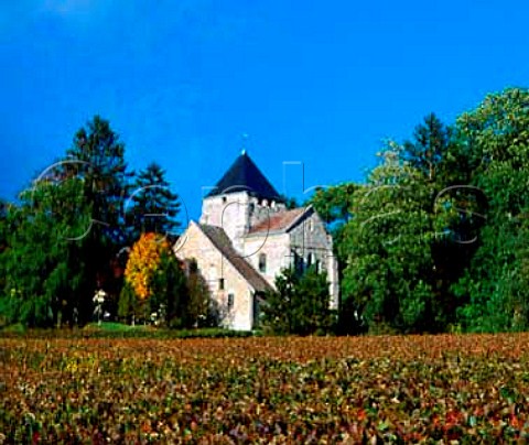 Church in the vineyards on the slopes of the   Montagne de Reims at Ecueil Marne France  Champagne