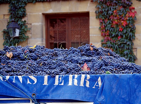 Harvested grapes arrive at the bodegas of Remelluri   Labastida Alava Spain   Rioja Alavesa