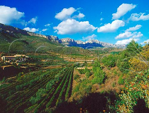 Masa Duch and its vineyards below the Sierra de   Montsant near Scala Dei Catalonia Spain     Priorato