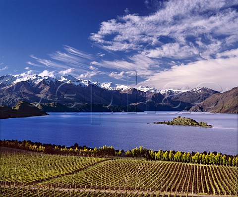 Rippon Vineyards on the shore of Lake Wanaka   with the Buchanan Mountains beyond Wanaka Central Otago New Zealand