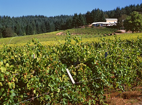 Airlie Winery and its Dunn Forest Vineyard Monmouth Oregon USA  Willamette Valley