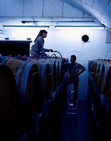 Racking barrels at Bodegas la Rural  owned by the   Nicolas Catena group Maip Mendoza province   Argentina