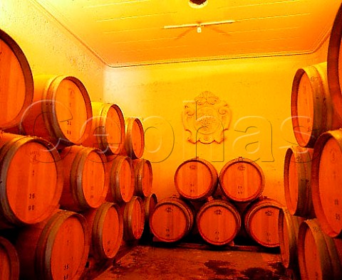 Barrel room of Bodegas y Viedos Leoncio Arizu  the   wine is sold under the name Luigi Bosca   Luj de Cuyo Mendoza province Argentina