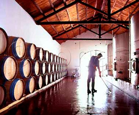 Washing the floor at Bodegas y Viedos Leoncio Arizu    the wine is sold under the name Luigi Bosca   Lujn de Cuyo Mendoza province Argentina