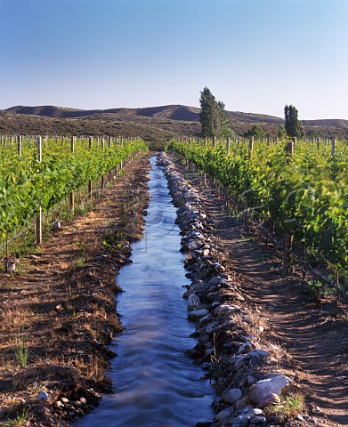 Irrigation channel in Chardonnay vineyard of Nicolas  Catena  at an altitude of around   1450 metres in the Tupungato Valley   Mendoza province Argentina