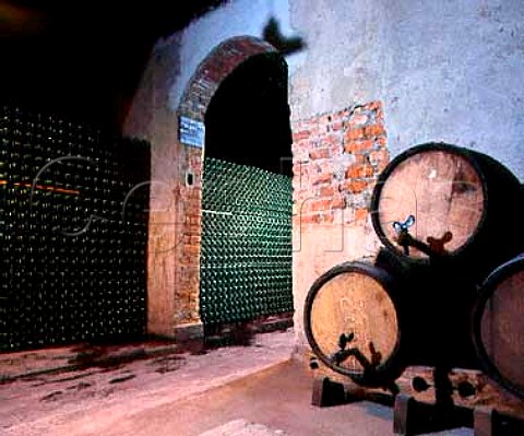 Bottle maturation cellar of Bodega Norton   Lujn de Cuyo Mendoza province Argentina