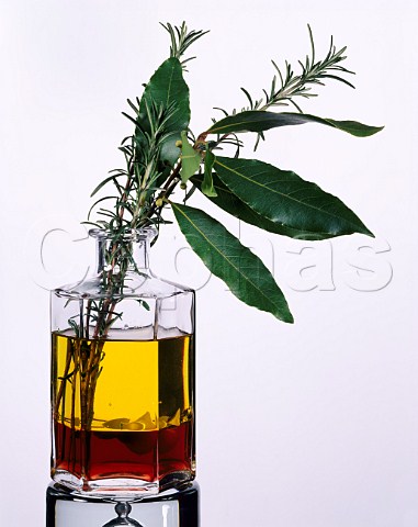 Olive oil and vinegar with bay leaves rosemary and   garlic