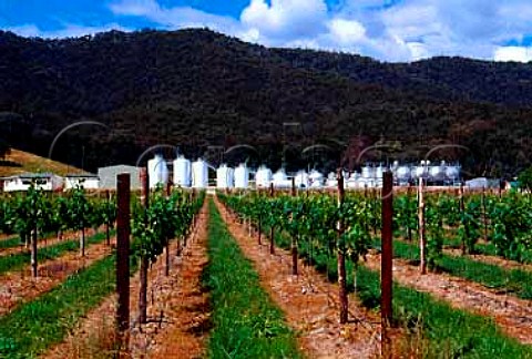 Victorian Alps Winery Gapstead   Victoria Australia  Ovens Valley
