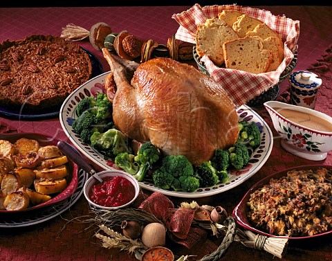 Thanksgiving feast Roast turkey Pecan Pie Corn Bread etc