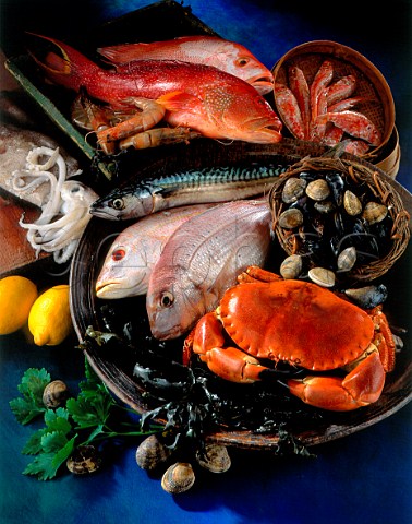 Assorted fish and seafood