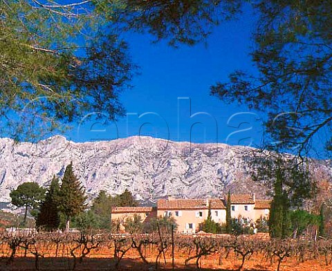 Early spring at Domaine Richeaume with   Montagne SteVictoire beyond   Puyloubier BouchesduRhne France  AC Ctes de Provence