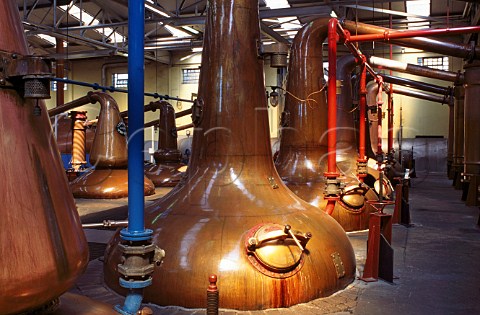 Copper stills at Glenfiddich Whisky   Distillery Dufftown Speyside Scotland