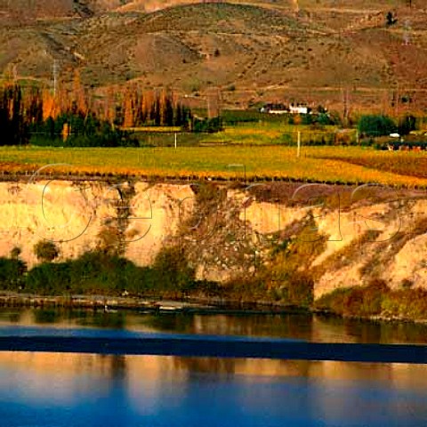 View over Lake Dunstan to Long Gully vineyard of   Mount Difficulty Wines with Felton Road winery  beyond Bannockburn New Zealand  Central Otago