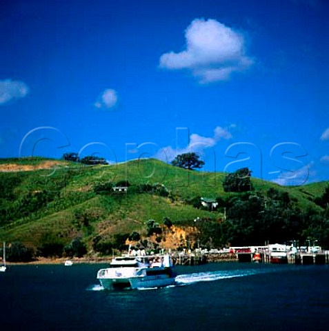 The Auckland ferry leaving Waiheke Island   New Zealand