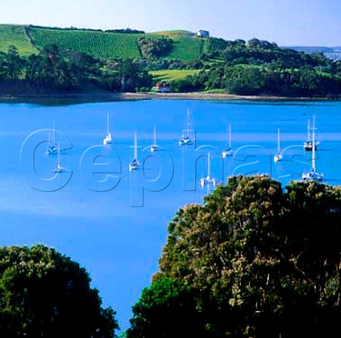 View over Te Whau Bay to Te Whau Vineyard from   Goldwater Estate Waiheke Island New Zealand