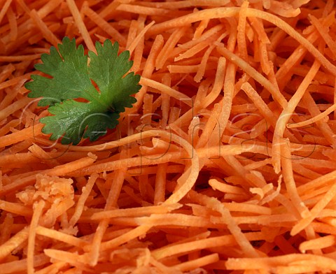 Grated carrot with coriander leaf