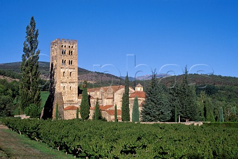 PreRomanesque Abbey of StMicheldeCuxa  PyrnesOrientales France  LanguedocRoussillon