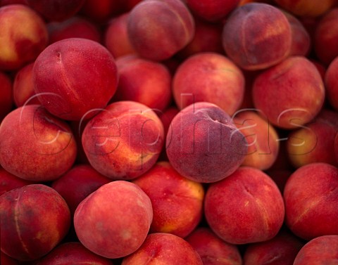 California produce  Peaches