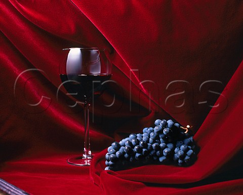 Cabernet Sauvignon grapes and wine