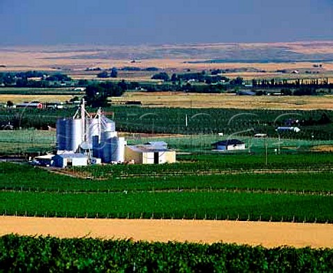Seven Hills Vineyard surrounds the grain elevator of   the property  in addition to Seven Hills the grapes   are also used by many of Washingtons other top   wineries   Milton Freewater Oregon USA  Walla Walla AVA