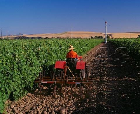 Ploughing in the Syrah planted Cailloux vineyard of  Cayuse Vineyards the stones basalt cobbles are  due to it being in the ancient bed of the  Walla Walla River MiltonFreewater Oregon USA     Walla Walla Valley AVA