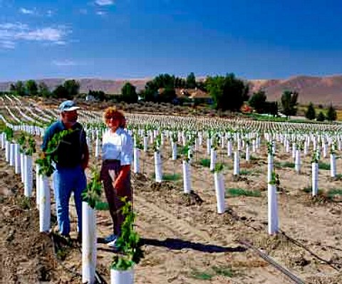 John and Ann Williams in a new Sangiovese vineyard    where the vines are protected by grow tubes which act   as mini greenhouses  with their winery beyond   Kiona Vineyards Benton City Washington USA   Red Mountain AVA