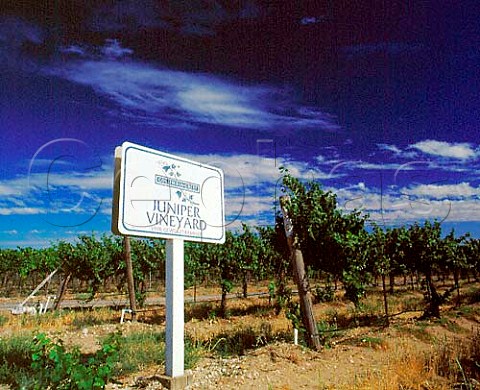 Sign for Juniper Vineyard Gewrztraminer vines of   Columbia Crest Paterson Washington USA      Columbia Valley AVA