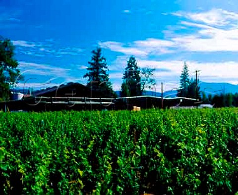 Winery of Bridgeview Vineyards in the   Illinois Valley Cave Junction Oregon USA  Rogue Valley AVA