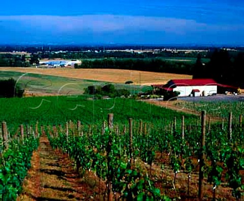 Cristom Vineyards and winery Lincoln Oregon USA   Willamette Valley AVA
